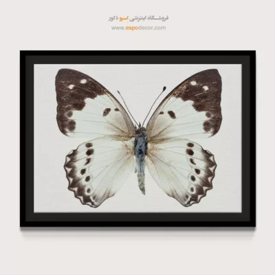 تابلو پروانه - اسپو دکور