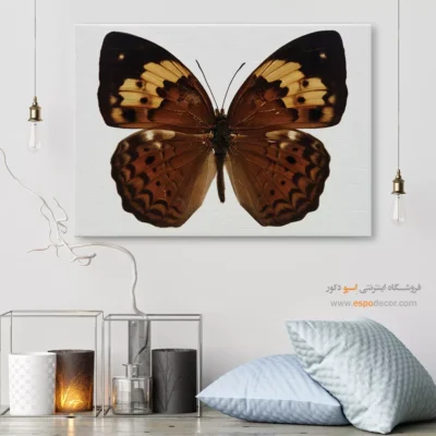 تابلو پروانه - اسپو دکور