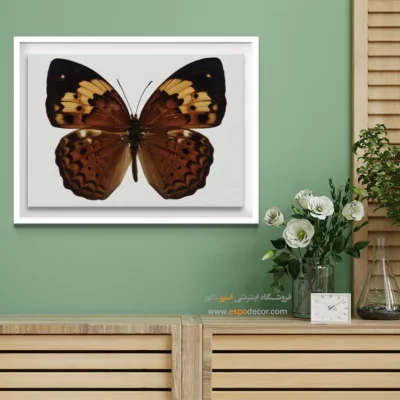 تابلو پروانه - اسپو دکور