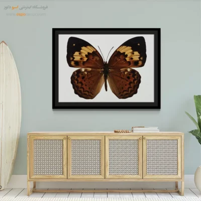 تابلو پروانه - اسپو دکور