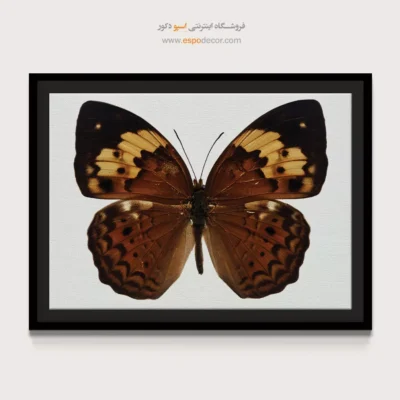 تابلو پروانه - اسپو دکور
