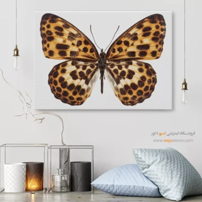 تابلو پروانه - اسپو دکور