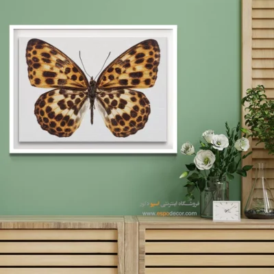 تابلو پروانه - اسپو دکور