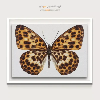 تابلو پروانه - اسپو دکور