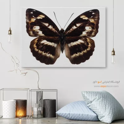 تابلو پروانه - اسپو دکور