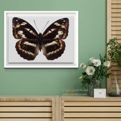 تابلو پروانه - اسپو دکور