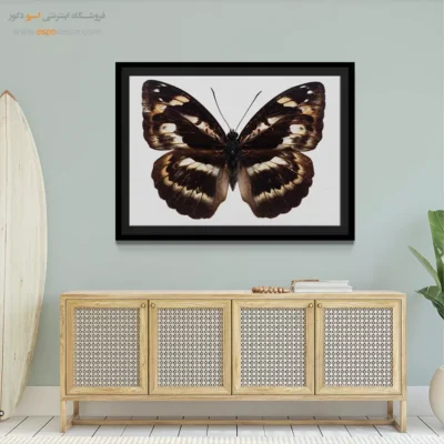 تابلو پروانه - اسپو دکور