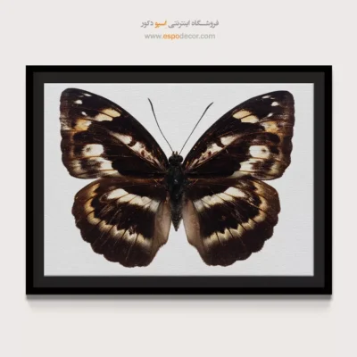 تابلو پروانه - اسپو دکور