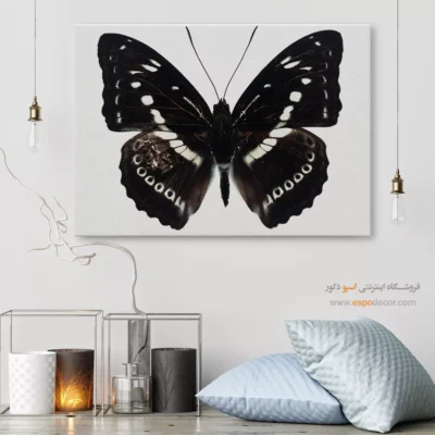 تابلو پروانه - اسپو دکور