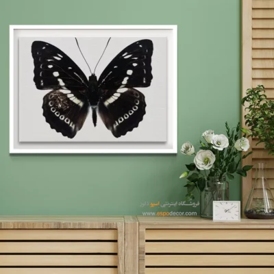 تابلو پروانه - اسپو دکور
