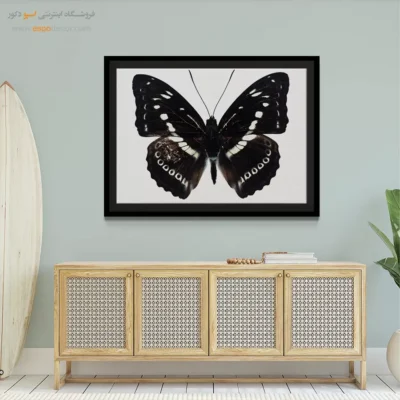تابلو پروانه - اسپو دکور