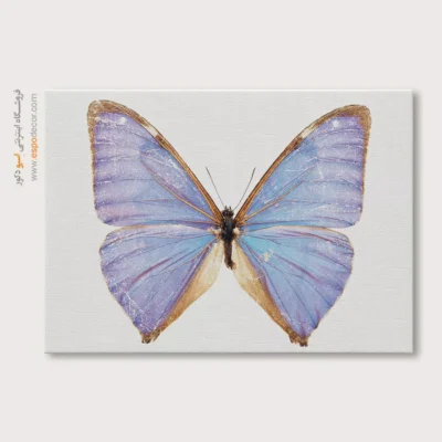 تابلو پروانه - اسپو دکور
