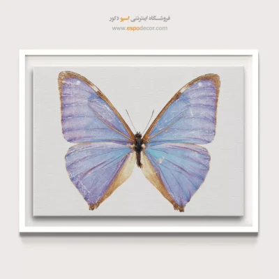 تابلو پروانه - اسپو دکور