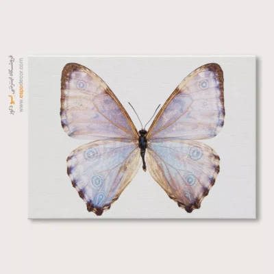 تابلو پروانه - اسپو دکور