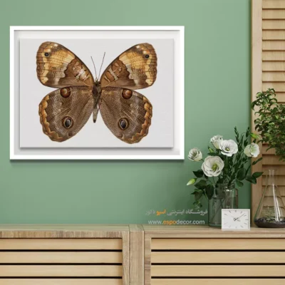 تابلو پروانه - اسپو دکور