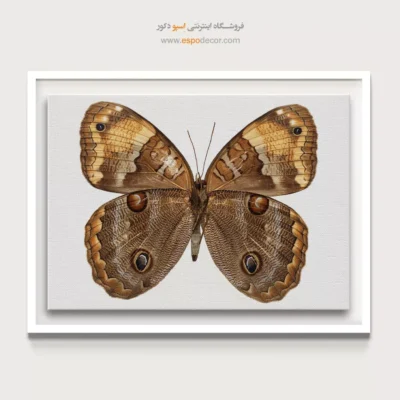 تابلو پروانه - اسپو دکور