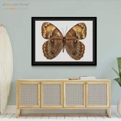 تابلو پروانه - اسپو دکور