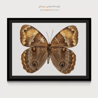 تابلو پروانه - اسپو دکور