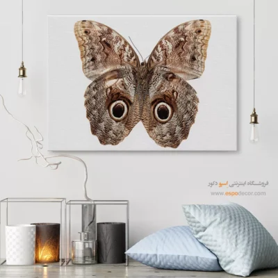 تابلو پروانه - اسپو دکور