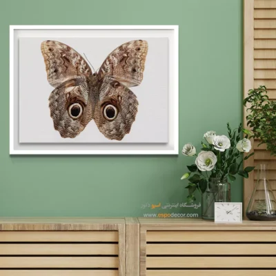 تابلو پروانه - اسپو دکور