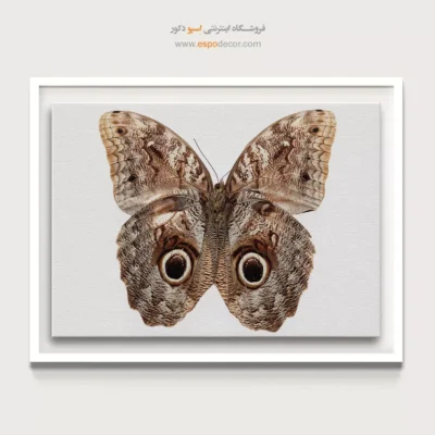 تابلو پروانه - اسپو دکور