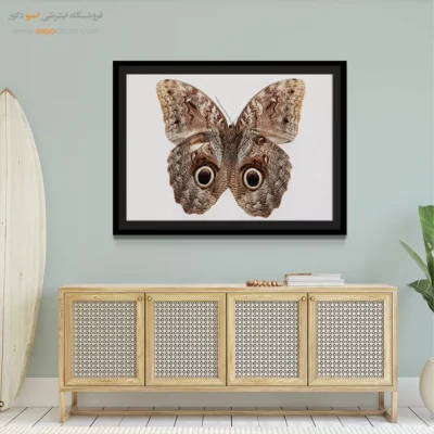 تابلو پروانه - اسپو دکور