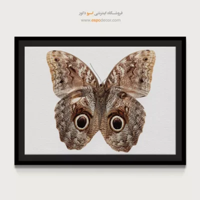 تابلو پروانه - اسپو دکور