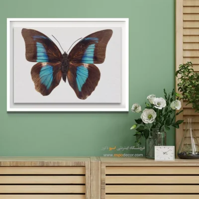 تابلو پروانه - اسپو دکور