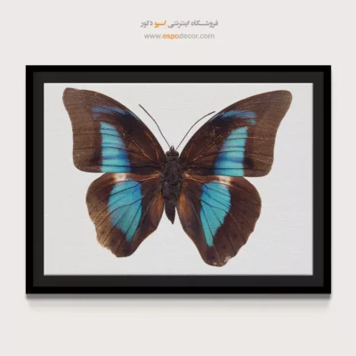 تابلو پروانه - اسپو دکور