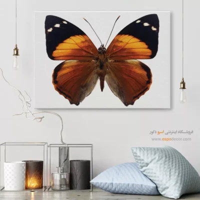 تابلو پروانه - اسپو دکور