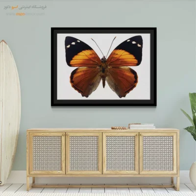 تابلو پروانه - اسپو دکور