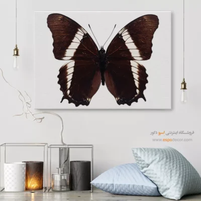 تابلو پروانه - اسپو دکور