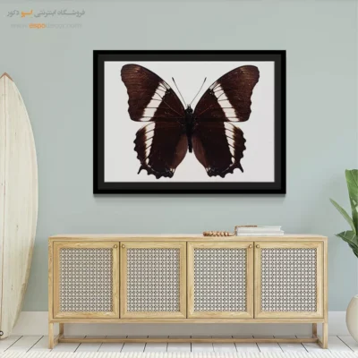 تابلو پروانه - اسپو دکور