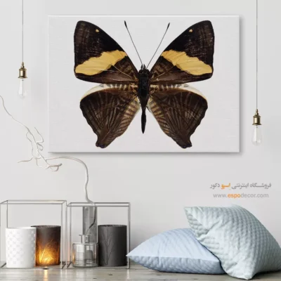 تابلو پروانه - اسپو دکور