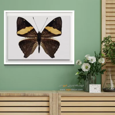 تابلو پروانه - اسپو دکور