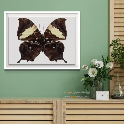 تابلو پروانه - اسپو دکور