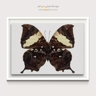 تابلو پروانه - اسپو دکور