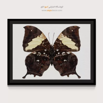 تابلو پروانه - اسپو دکور