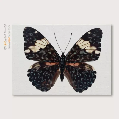تابلو پروانه - اسپو دکور