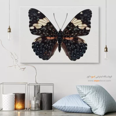 تابلو پروانه - اسپو دکور