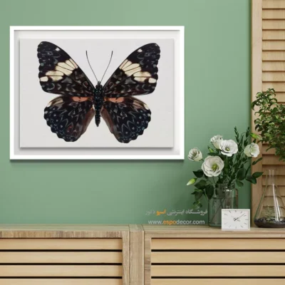 تابلو پروانه - اسپو دکور
