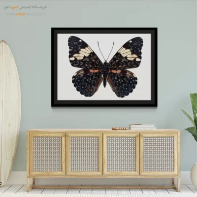 تابلو پروانه - اسپو دکور