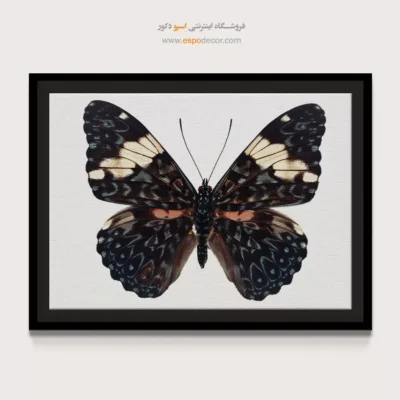 تابلو پروانه - اسپو دکور