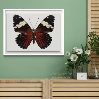 تابلو پروانه - اسپو دکور