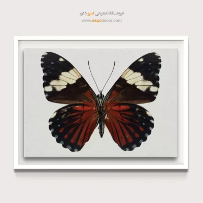 تابلو پروانه - اسپو دکور