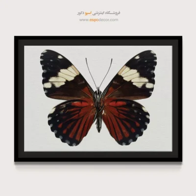 تابلو پروانه - اسپو دکور
