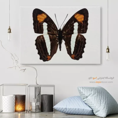 تابلو پروانه - اسپو دکور