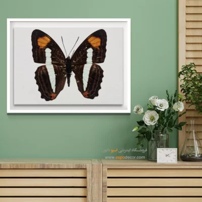 تابلو پروانه - اسپو دکور