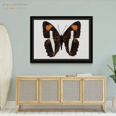 تابلو پروانه - اسپو دکور