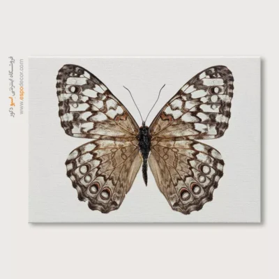 تابلو پروانه - اسپو دکور